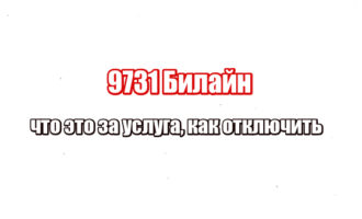 9731 Билайн: что это за услуга, как отключить